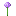 Allium up texture