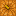 Carved Pumpkin up texture