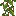 Cave Vines up texture