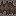 Creaking Heart north texture