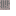 Dried Ghast north texture