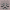 Dried Ghast south texture
