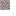 Dried Ghast west texture