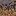 Mycelium north texture