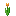 Orange Tulip up texture
