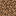 Podzol down texture