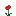 Flower up texture