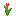 Red Tulip up texture