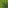 Small Dripleaf up texture