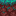 Warped Nylium north texture