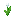 White Tulip up texture